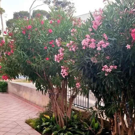 Pansion Belvedere - Two Bedroom With Terrace Oliva Mali Losinj